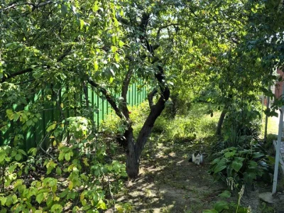 Будинок. Дніпро, Райніса пров.