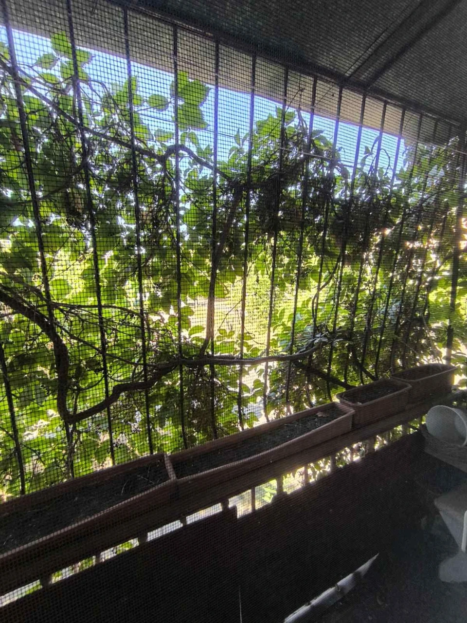 Apartment, 3 rooms, from the owner