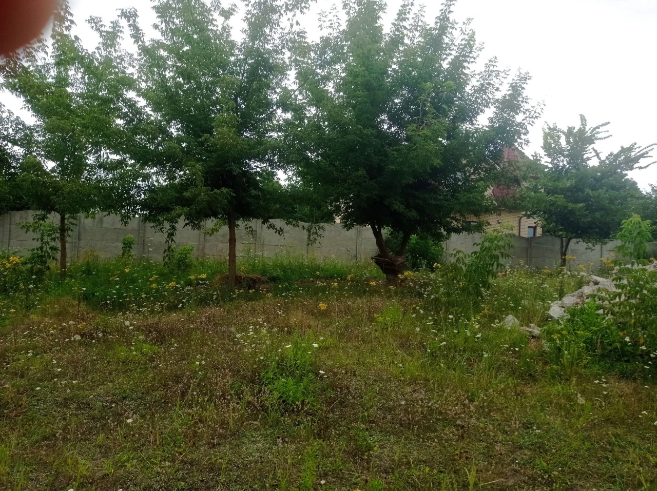 Участок земли