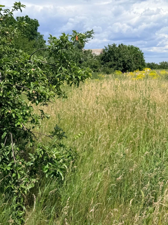 Продам земельну ділянку в Бережинці