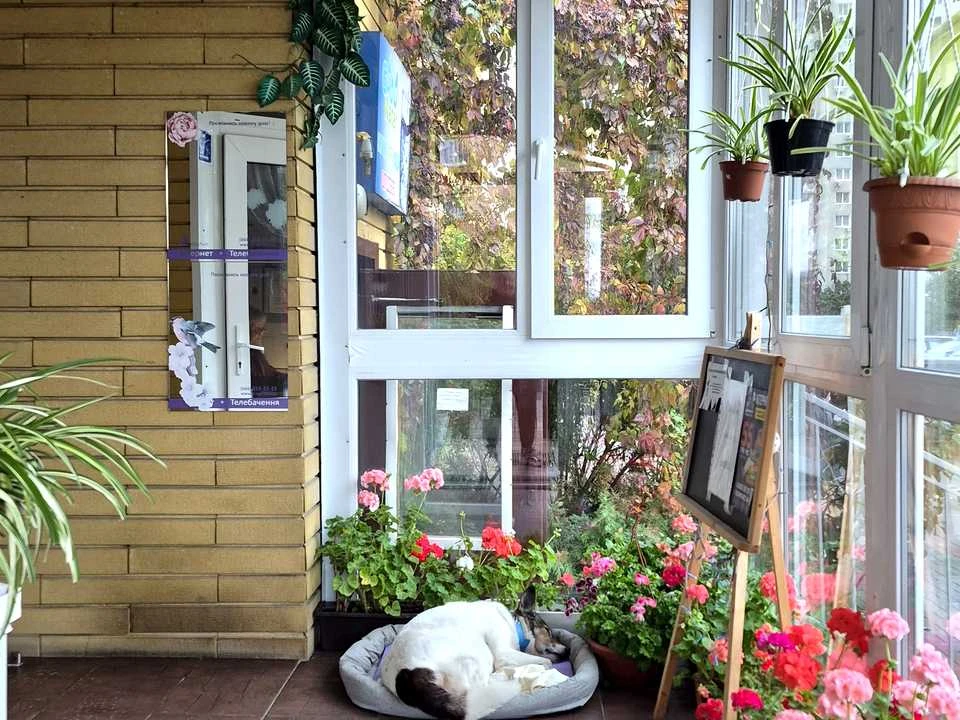 Квартира. Київ, Григорія Ващенка вул.