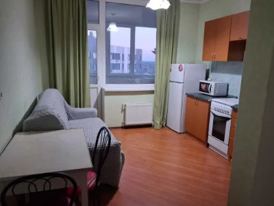 Rent one-bedroom apartment (55 m²) in Kyiv, Darnitsky district