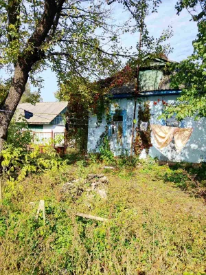 Будинок в селі Данилівка