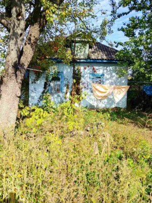 Будинок в селі Данилівка