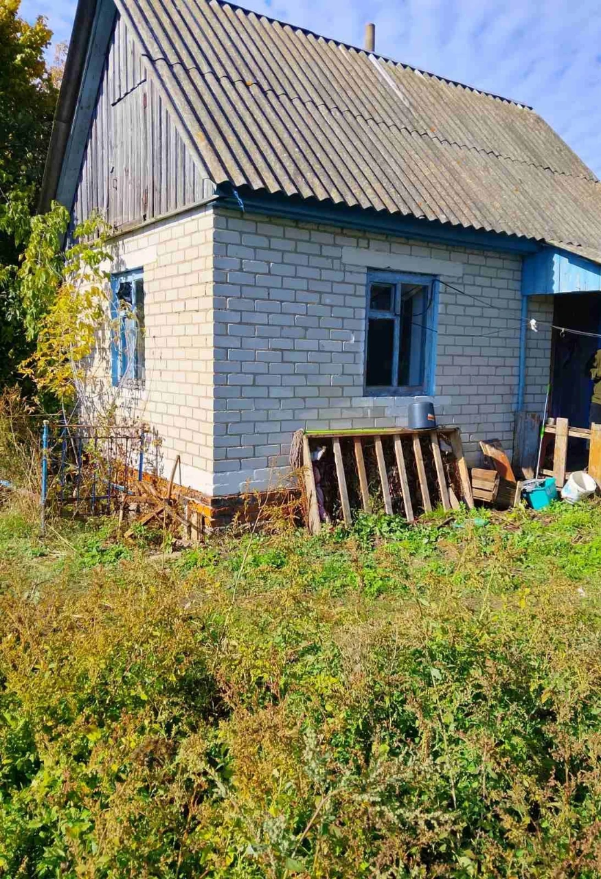 Будинок в селі Данилівка