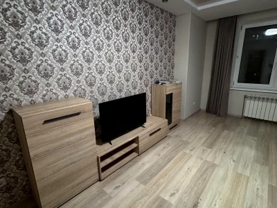 Rent 1-bedroom apartment 49 sq.m. 16/17 floor