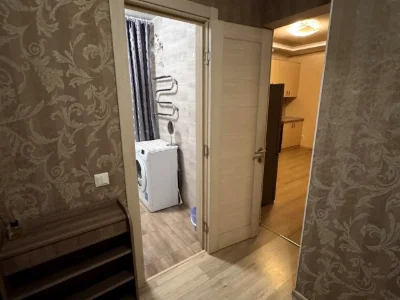 Rent 1-bedroom apartment 49 sq.m. 16/17 floor