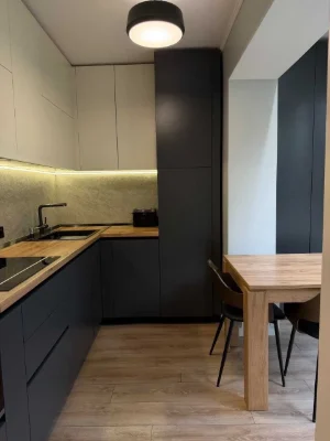 1-bedroom apartment near Ipodrom metro station