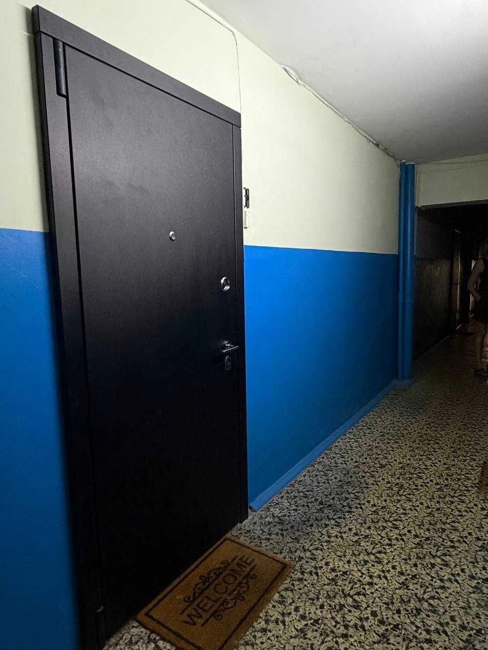1-bedroom apartment near Ipodrom metro station
