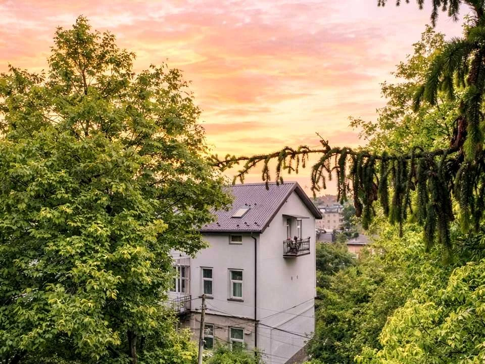 Квартира. Львів, вулиця Остапа Луцького