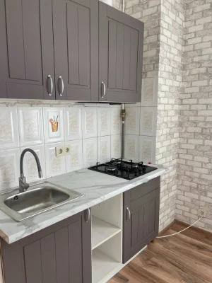 For Rent: 2-room apartment, Kropivnytskoho Street, 12, Besar