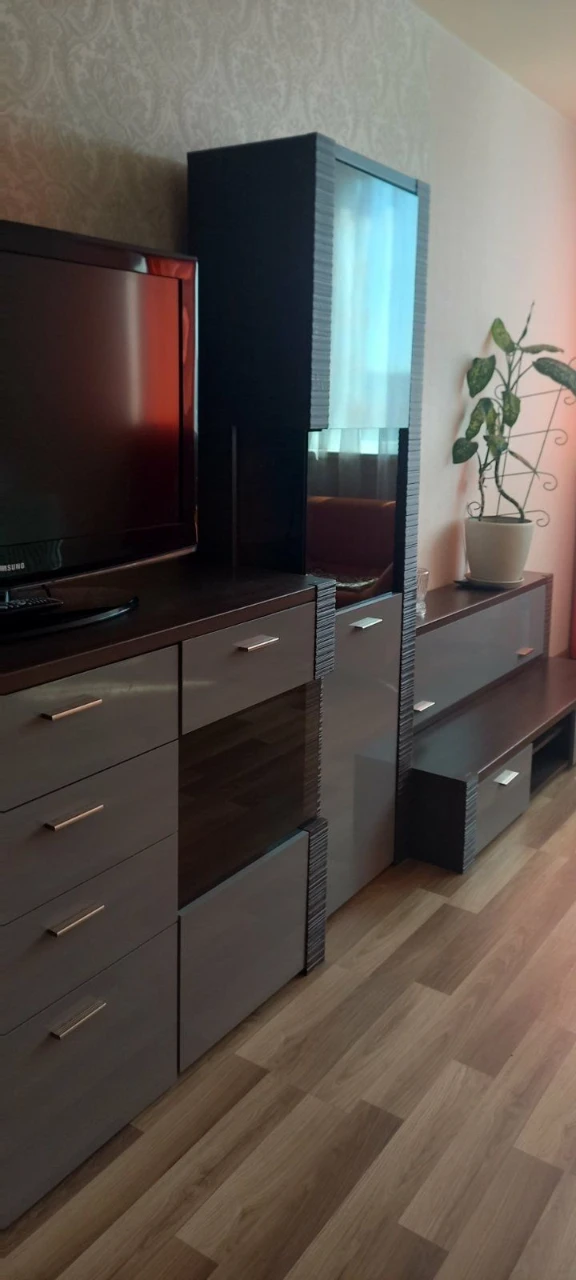 Rent 1-room apartment in a new building, Maximovich Street, Vasila