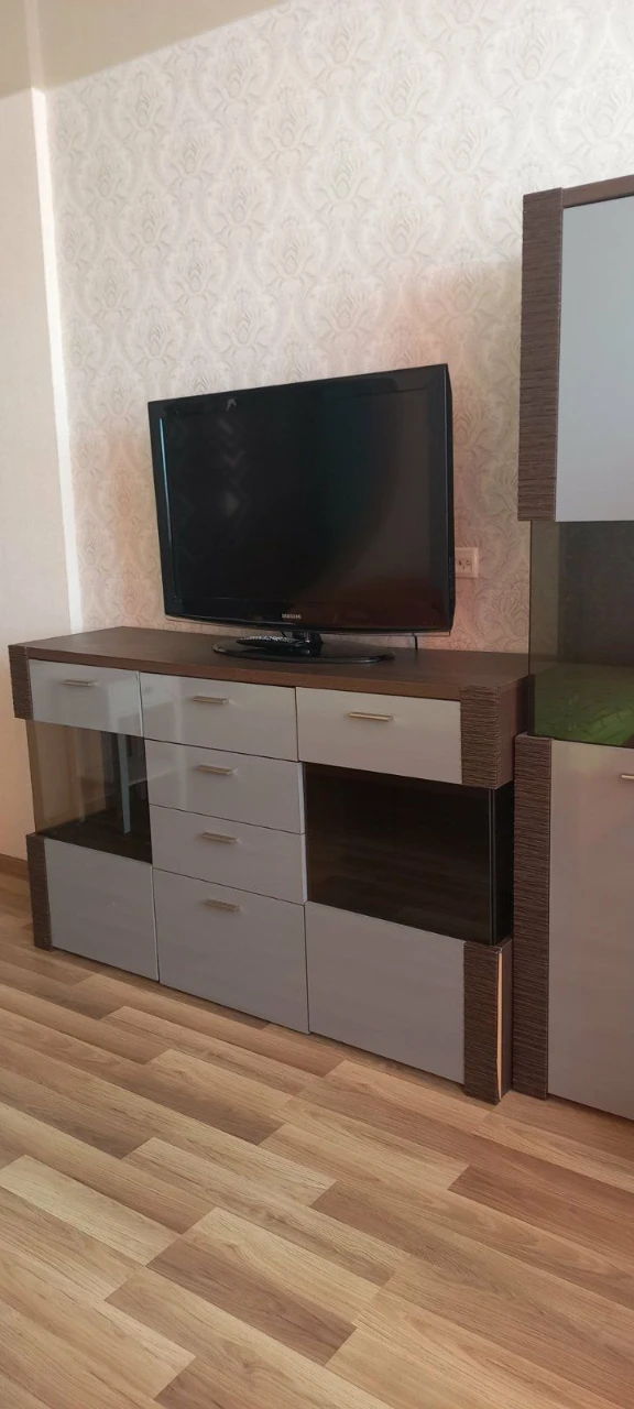 Rent 1-room apartment in a new building, Maximovich Street, Vasila