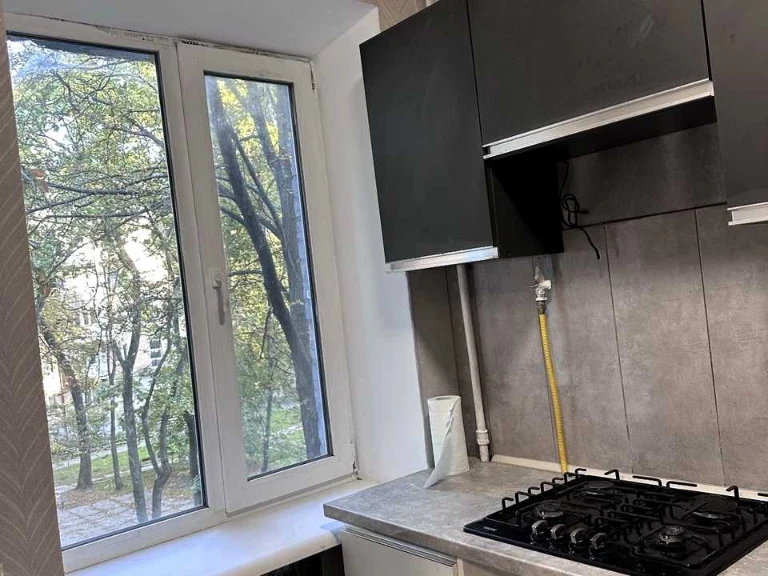 Apartment. Oleny Telyhy Street, Kyiv