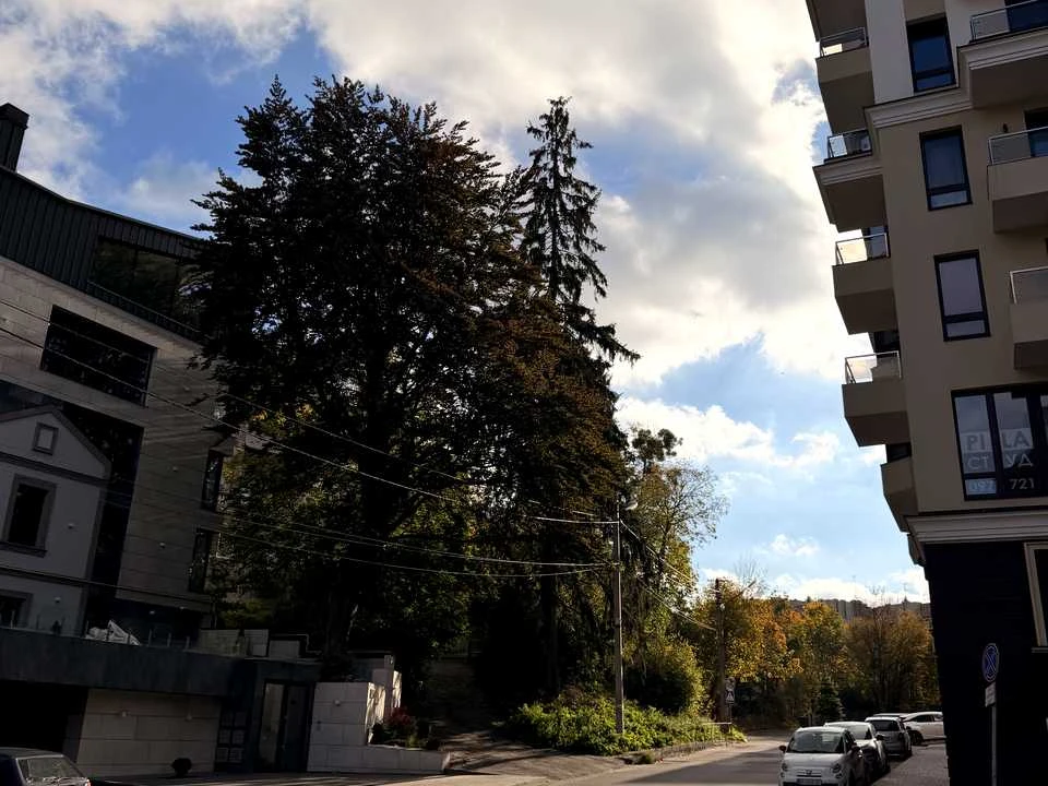 Квартира. Львів, вулиця Ярослава Ярославенка