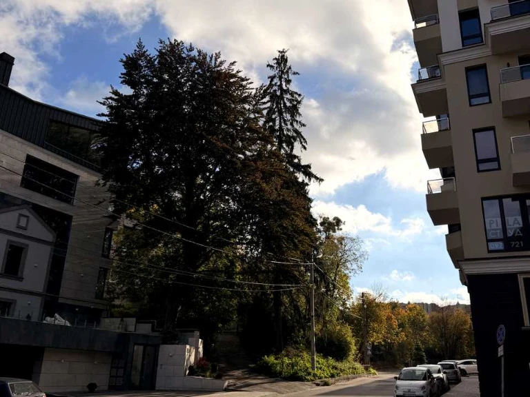 Квартира. Львів, вулиця Ярослава Ярославенка