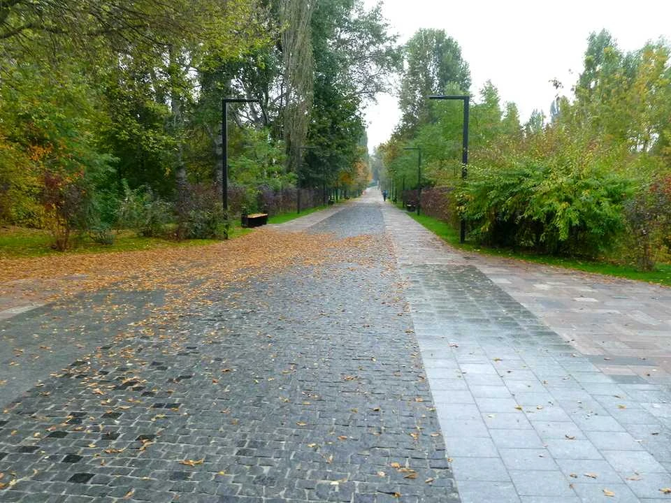 Квартира. Київ, вулиця Ольжича