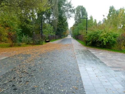 Квартира. Київ, вулиця Ольжича