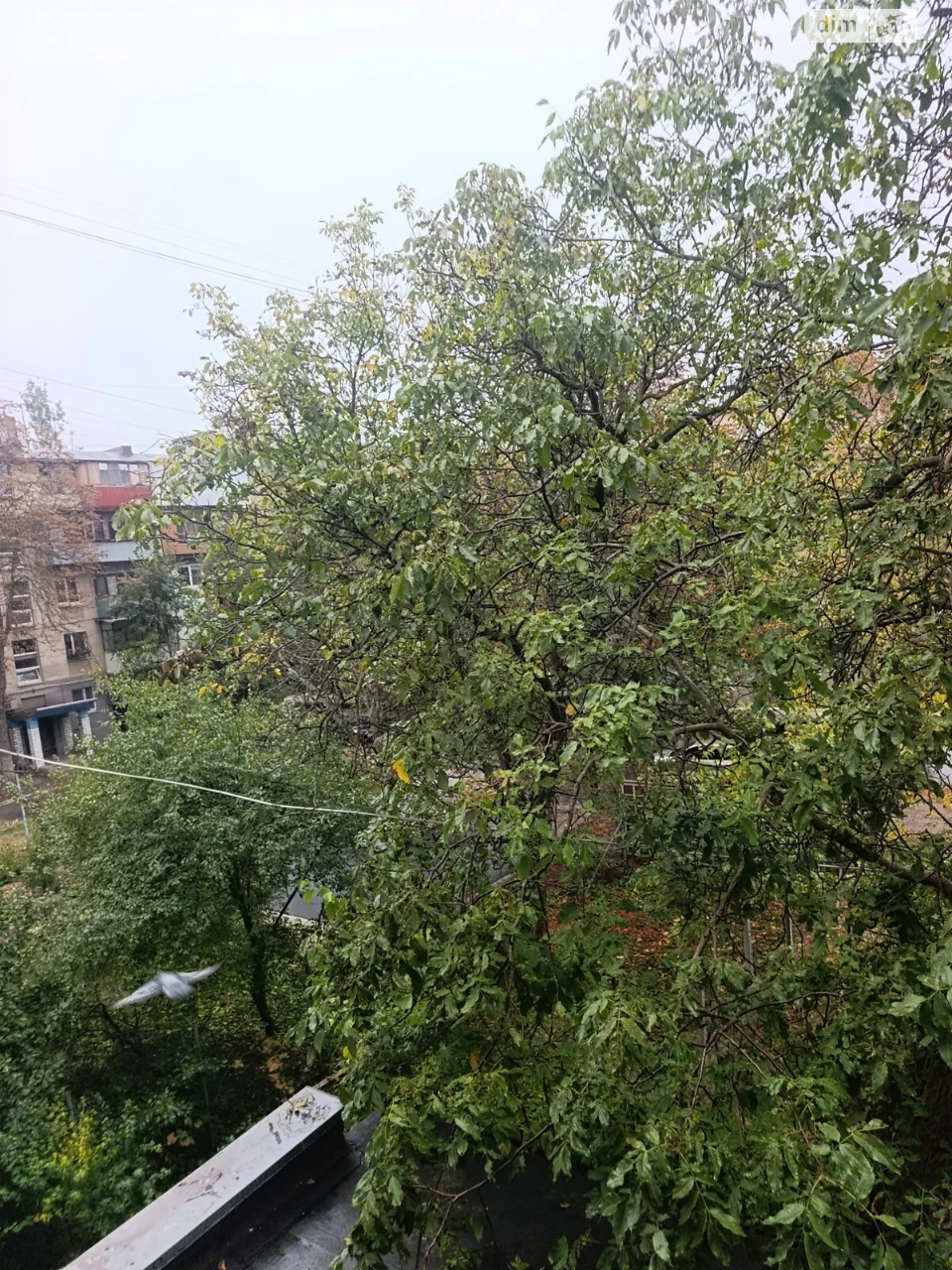 Long-Term Rental Apartment, Cheremushki