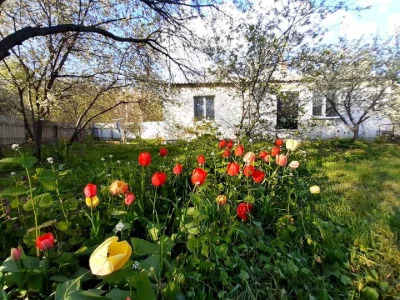 Будинок. Полтава, Південна вул.