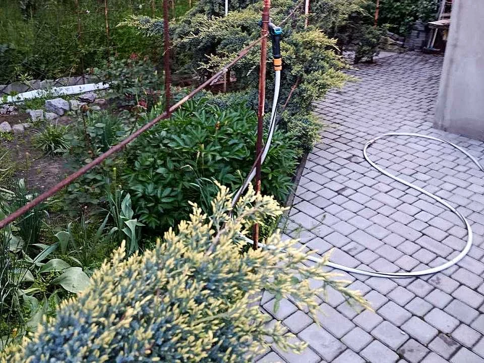 Дом. Николаев, улица Глебы Бабича