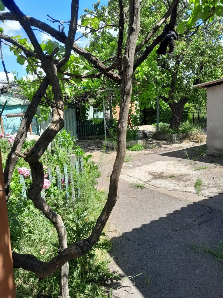 Продаються два будинки на ділянці, одноповерховий та двоповерховий з меблями