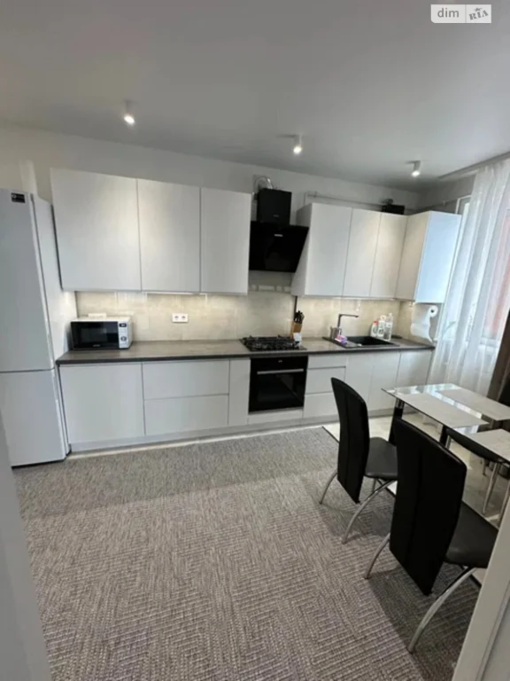 Long-Term Rental Apartment in Sknilivka