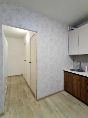 В продажу 1-кімнатна квартира серії ЧН 39 м², ремонт, вбудовані