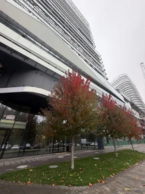 Kyiv Sale of 2-3 room apartment in excellent condition. Metro Holosiiv