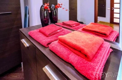 1 room apartment, on Saksaганського Street. Center, Olympic Palace, Kyiv.