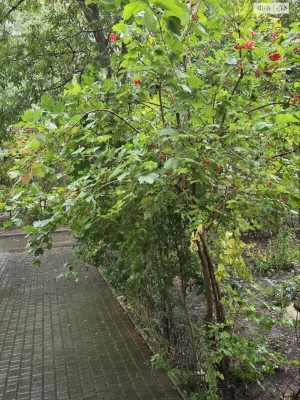 Apartment for Sale, Kyivsky