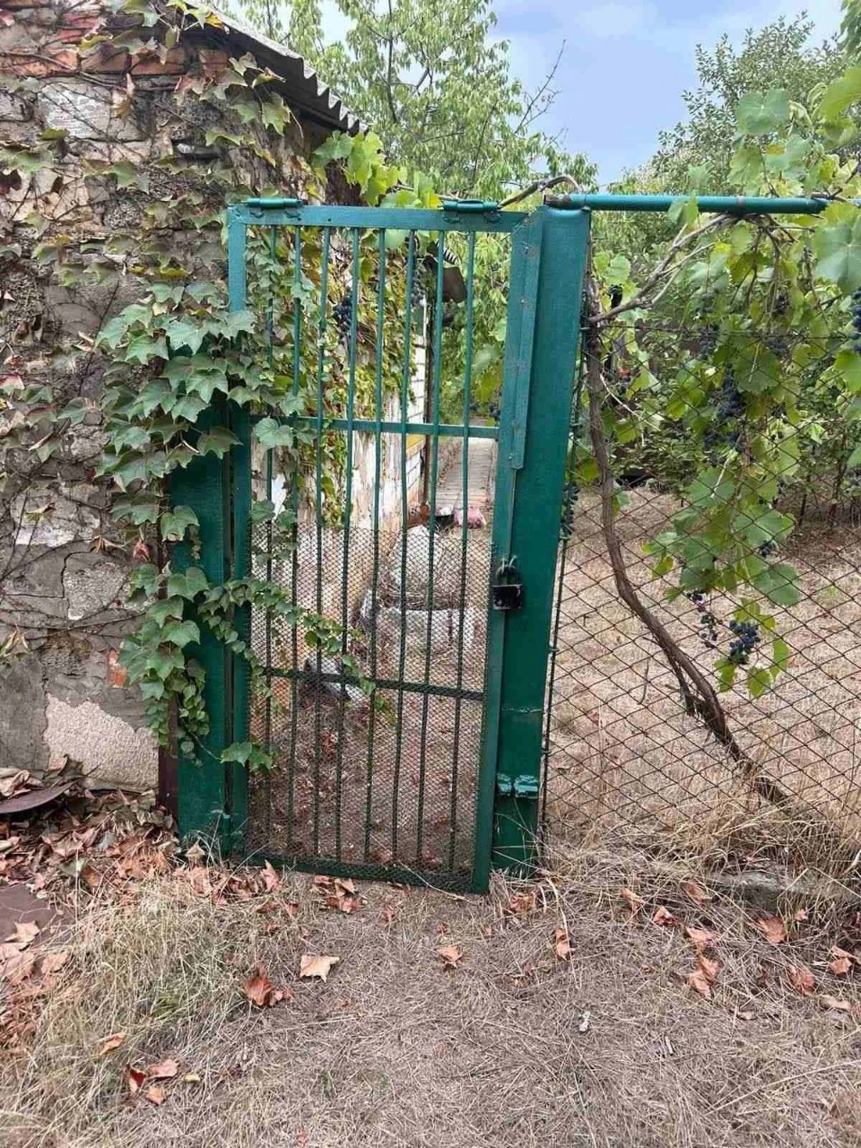 Продам дачний будинок