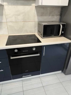 Аренда 1-комнатной квартиры 40 м², Ревуцкого ул., 40В