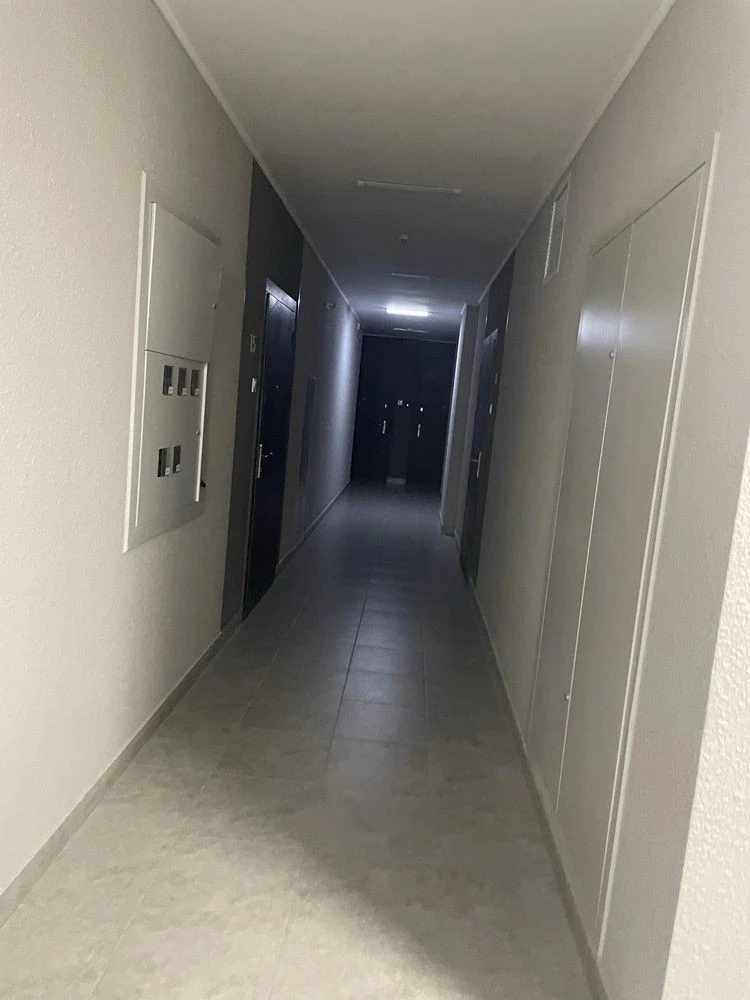 Horobroho 11b, 1-bedroom apartment without commission