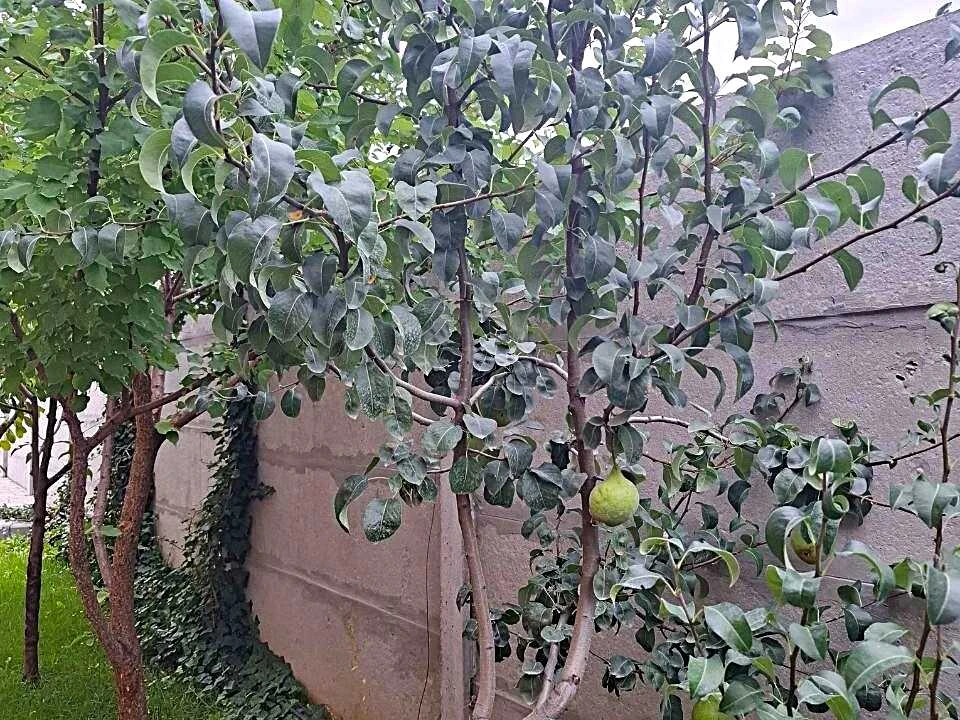Будинок. Вінниця, вулиця Йоахима Волошиновського