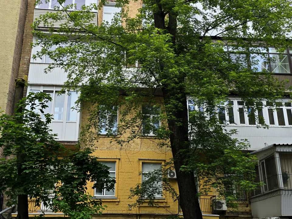 Квартира. Киев, улица Большая Васильковская