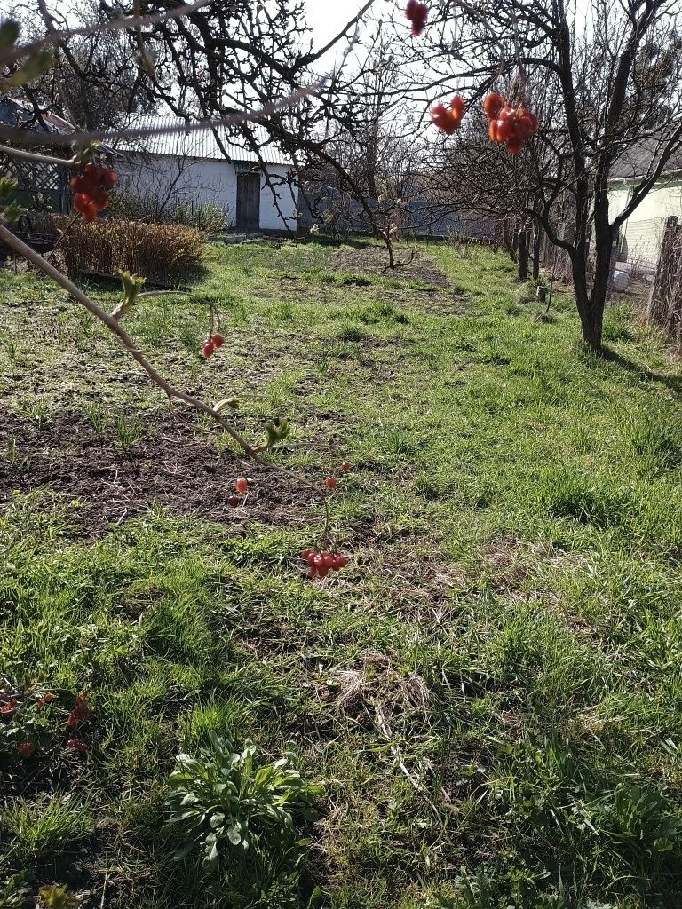 Land for sale/exchange in Zhytomyr