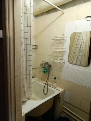Rent 1-bedroom apartment, 38 Mylytknka Street, near Lesova metro station