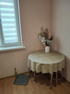 Apartment for Rent, 1 room, 38 sq m, Protas Yar, 7