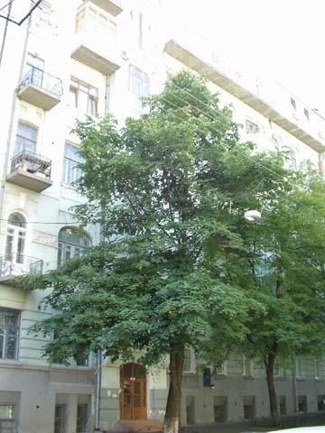 Продажа 3-комнатной квартиры 90 м², Заньковецкой ул., 7