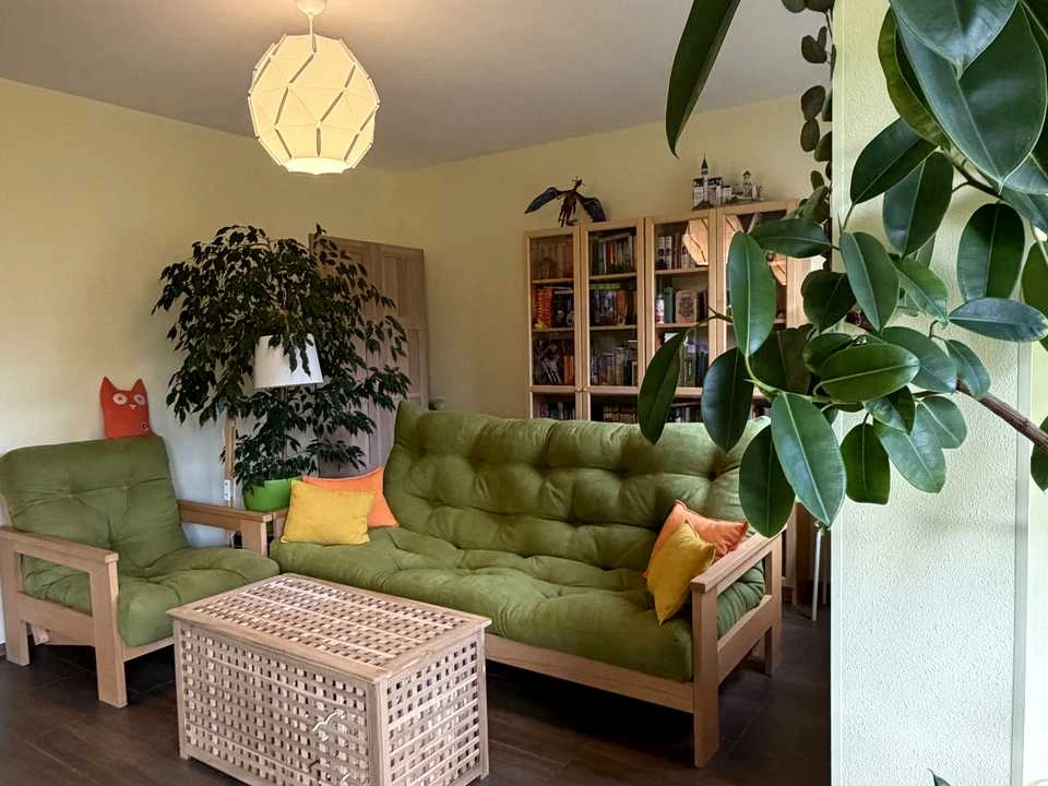 Apartment. Yuriy Illyenka, 3 Illienka Street