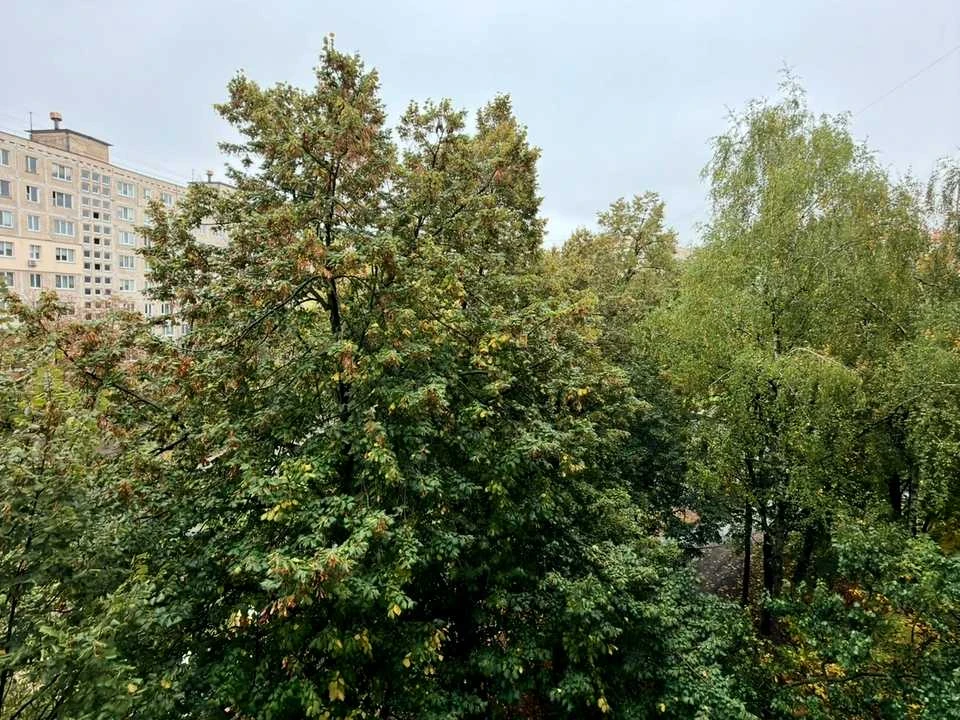 Apartment. Simirenya Street, Kyiv