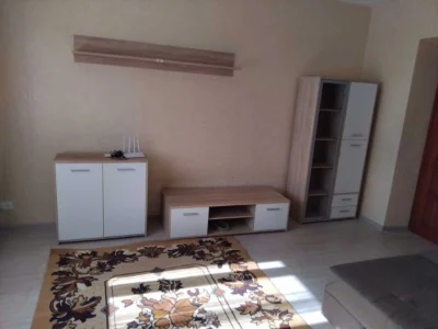 Rent one-room apartment (44 m²) in Kyiv, Pechersk district