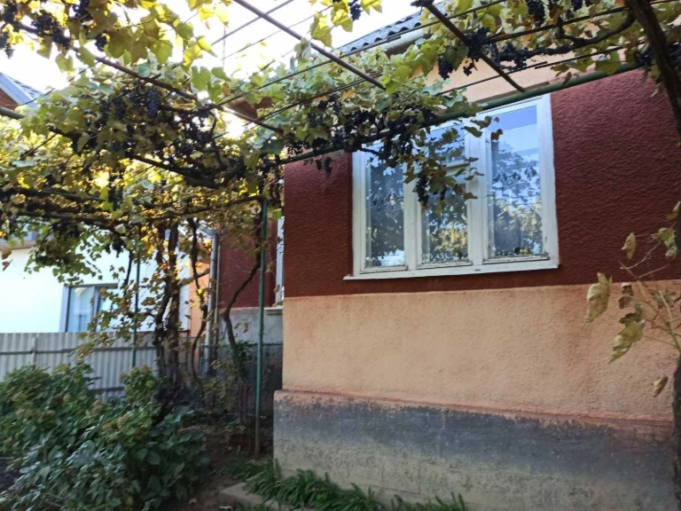 Продається дом в Улиці Великокам'яна
