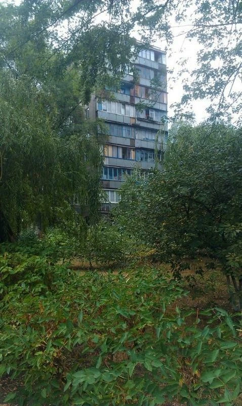 Сдается 1-комнатная квартира 30 м², Лисовый проспект, 25А