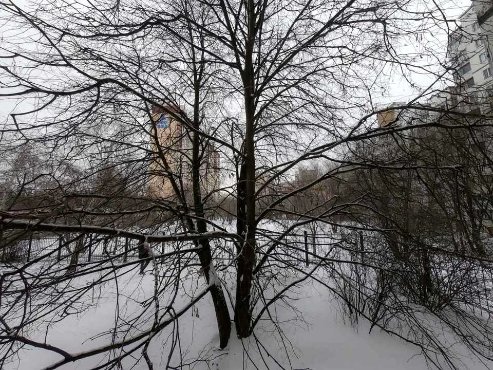 Apartment. Vadima Getman St., Kyiv