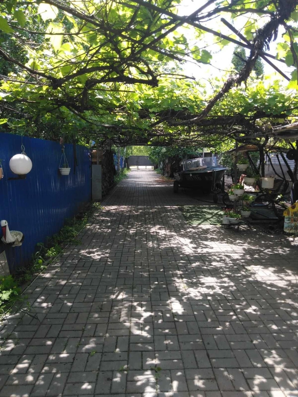 Detached house for rent on the banks of the Dnieper in the Holosiiv district