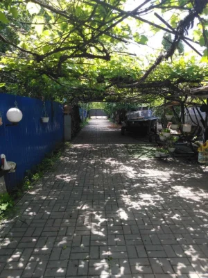 Detached house for rent on the banks of the Dnieper in the Holosiiv district