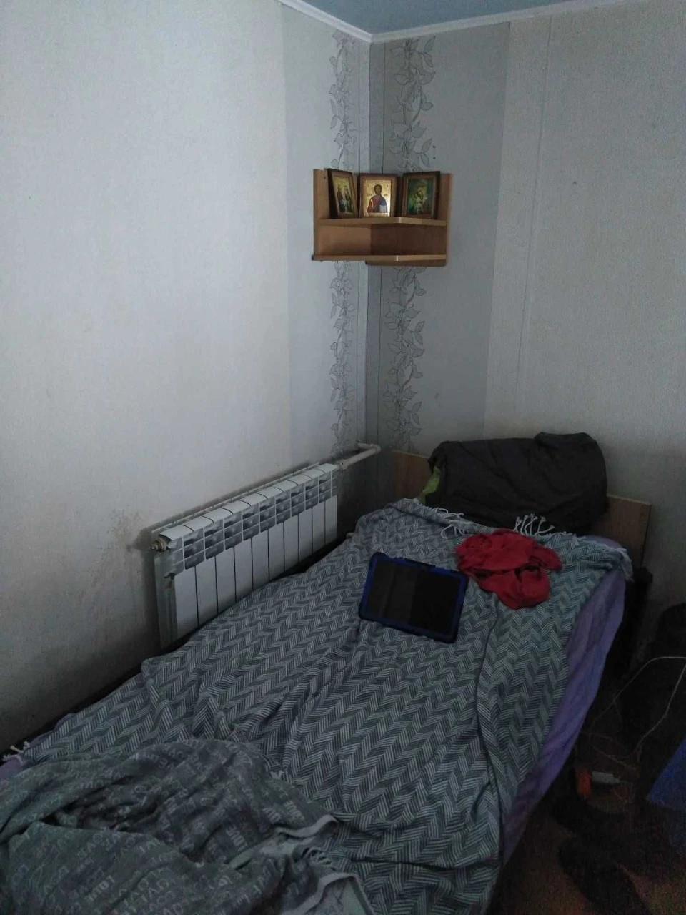 Detached house for rent on the banks of the Dnieper in the Holosiiv district