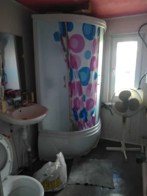 Detached house for rent on the banks of the Dnieper in the Holosiiv district